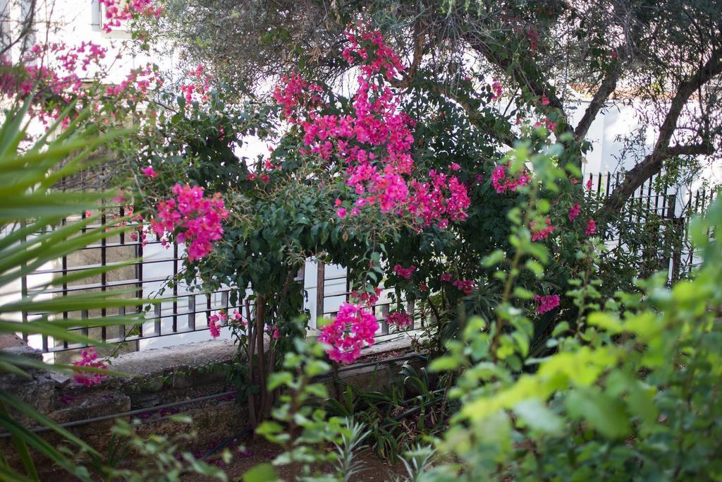 Glyfada Riviera Home Atena Exterior foto